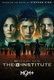 Институт (2025)