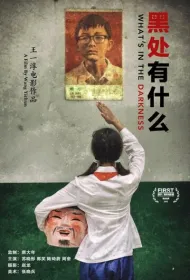 Что скрывает тьма (2015)